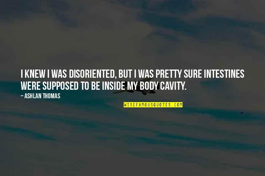 Ashlan Quotes By Ashlan Thomas: I knew I was disoriented, but I was Ashlan Quotes By Ashlan Thomas: I knew I was disoriented, but I was