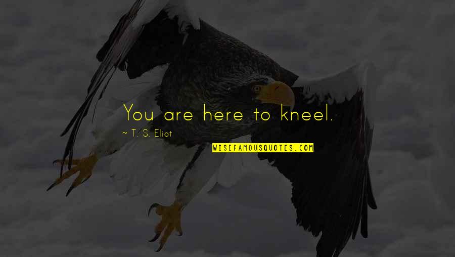Ashlee Casserly Quotes By T. S. Eliot: You are here to kneel. Ashlee Casserly Quotes By T. S. Eliot: You are here to kneel.