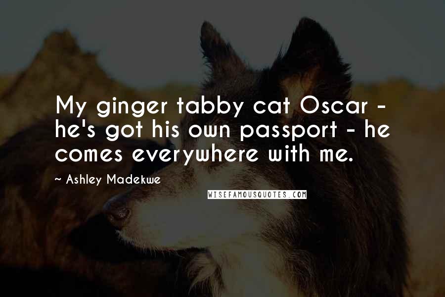 Ashley Madekwe quotes: My ginger tabby cat Oscar - he's got his own passport - he comes everywhere with me.