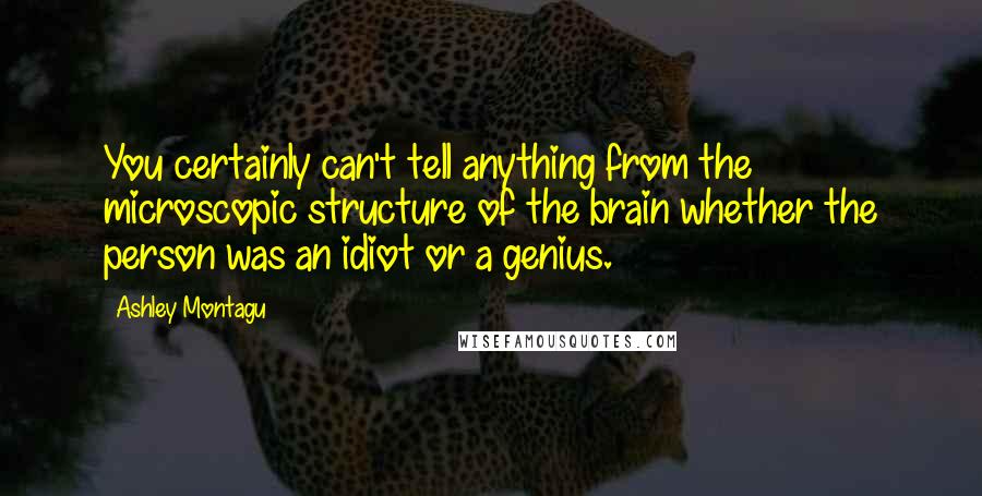 Ashley Montagu quotes: You certainly can't tell anything from the microscopic structure of the brain whether the person was an idiot or a genius. Ashley Montagu quotes: You certainly can't tell anything from the microscopic structure of the brain whether the person was an idiot or a genius.