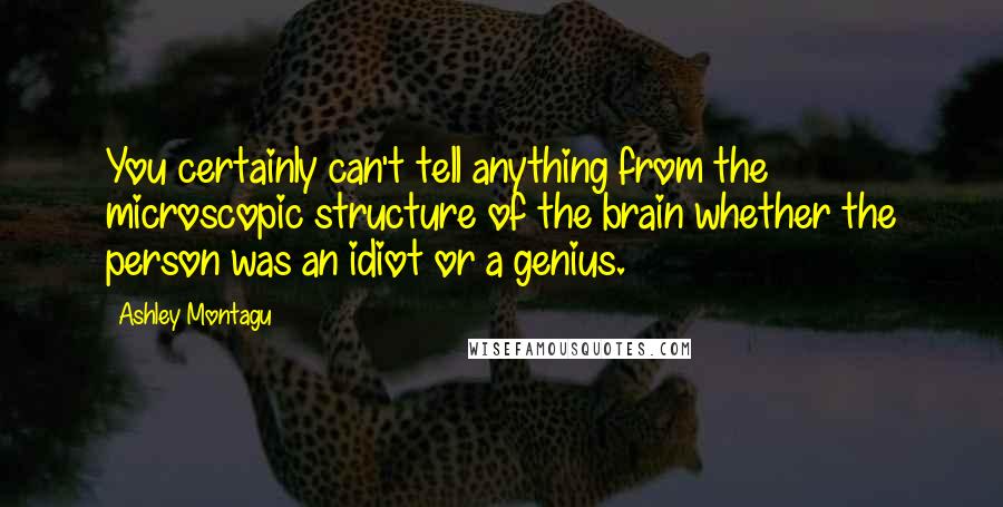 Ashley Montagu quotes: You certainly can't tell anything from the microscopic structure of the brain whether the person was an idiot or a genius.