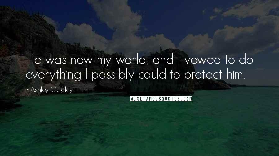 Ashley Quigley quotes: He was now my world, and I vowed to do everything I possibly could to protect him.