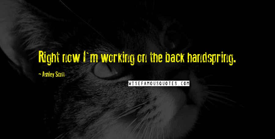 Ashley Scott quotes: Right now I'm working on the back handspring.