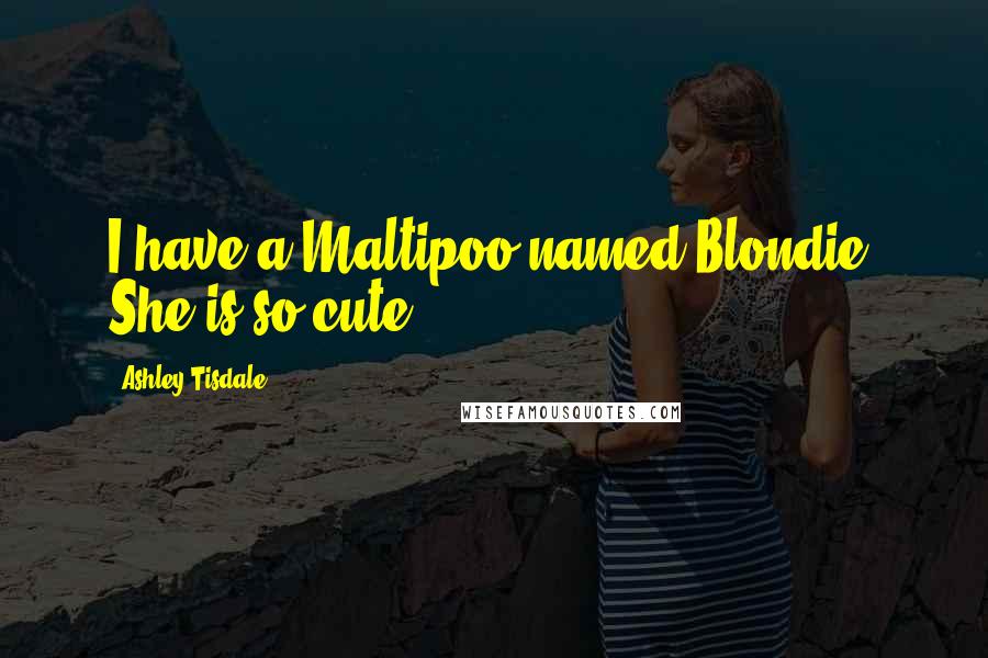 Ashley Tisdale quotes: I have a Maltipoo named Blondie. She is so cute!