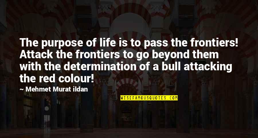 Ashline Quotes By Mehmet Murat Ildan: The purpose of life is to pass the