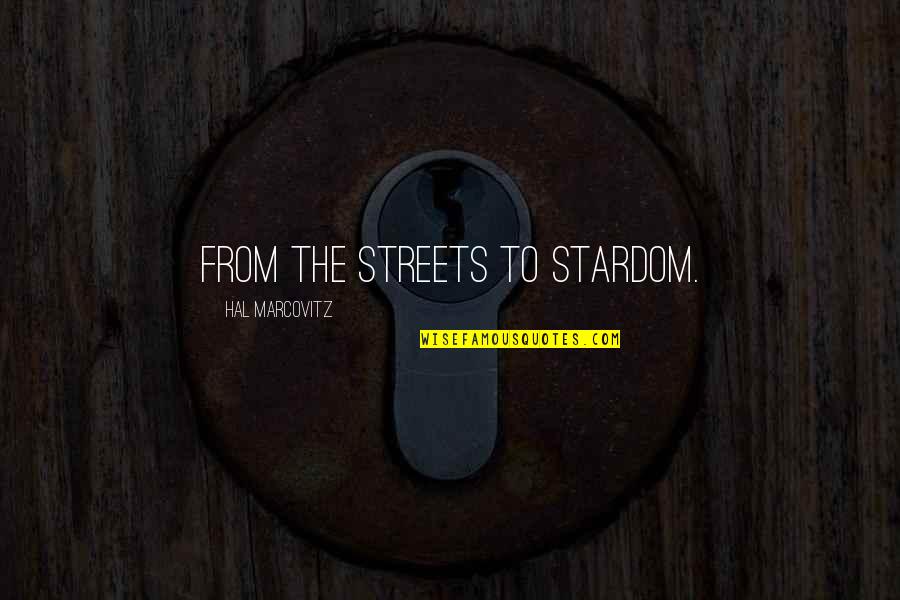 Ashok Singhal Quotes By Hal Marcovitz: From the streets to stardom.