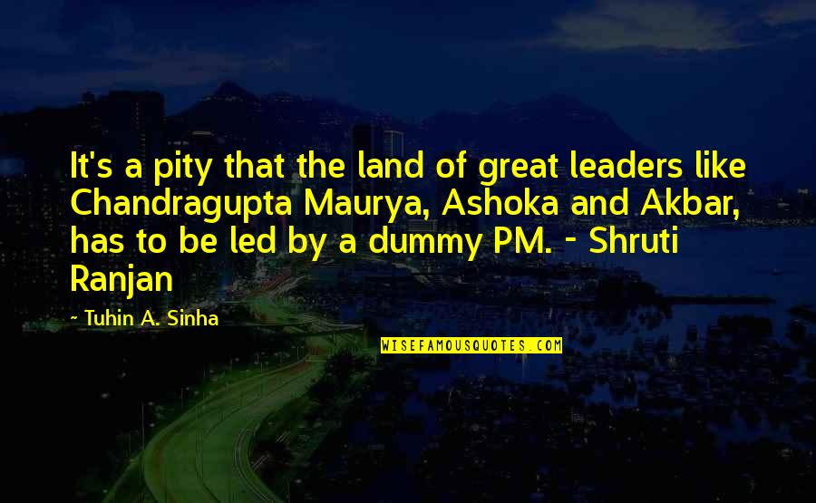 Ashoka's Quotes By Tuhin A. Sinha: It's a pity that the land of great