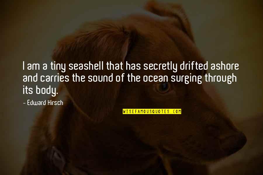 Ashore Quotes By Edward Hirsch: I am a tiny seashell that has secretly