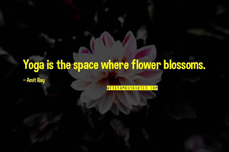 Ashourina Yalda Quotes By Amit Ray: Yoga is the space where flower blossoms. Ashourina Yalda Quotes By Amit Ray: Yoga is the space where flower blossoms.