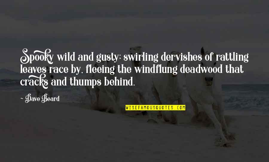 Ashraf Ghani Ahmadzai Quotes By Dave Beard: Spooky wild and gusty; swirling dervishes of rattling