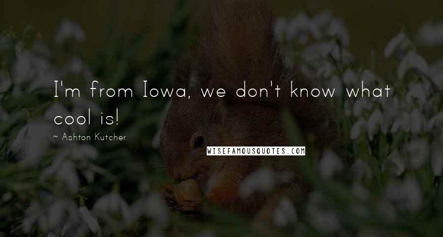Ashton Kutcher quotes: I'm from Iowa, we don't know what cool is!