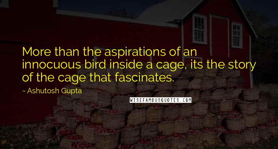 Ashutosh Gupta quotes: More than the aspirations of an innocuous bird inside a cage, its the story of the cage that fascinates.