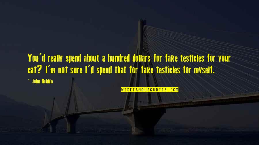 Asik Veysel Quotes By John Dobbin: You'd really spend about a hundred dollars for