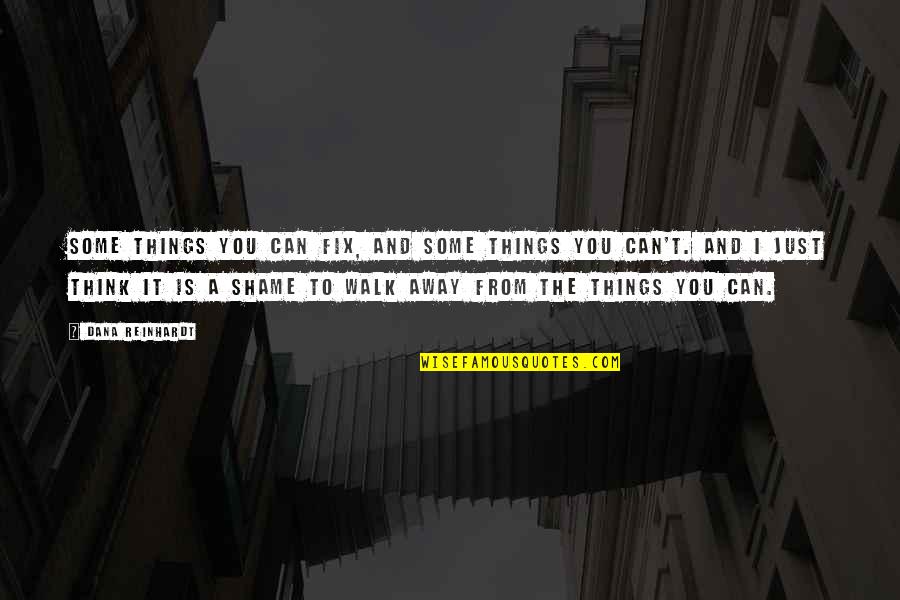 Asimilado A Salario Quotes By Dana Reinhardt: Some things you can fix, and some things