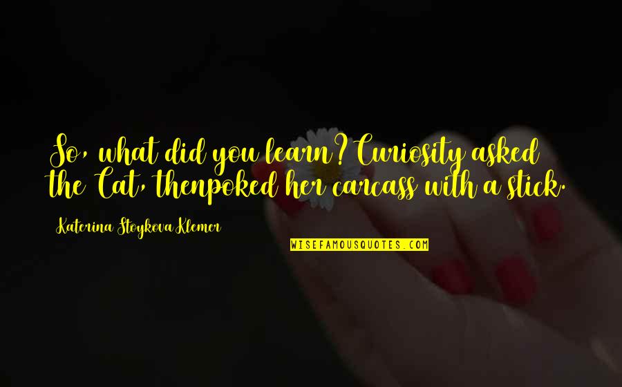 Asimilar Significado Quotes By Katerina Stoykova Klemer: So, what did you learn?Curiosity asked the Cat, Asimilar Significado Quotes By Katerina Stoykova Klemer: So, what did you learn?Curiosity asked the Cat,
