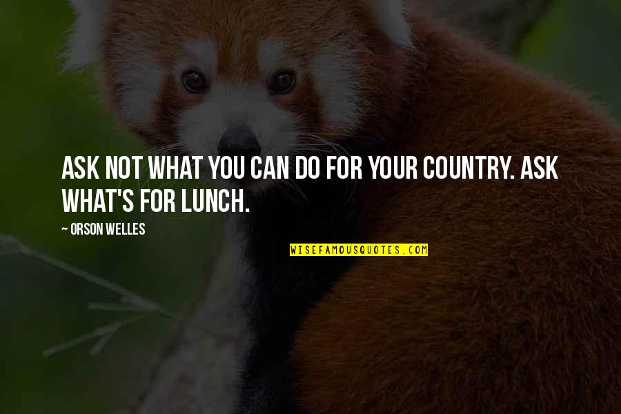 Ask Not What Your Country Quotes By Orson Welles: Ask not what you can do for your