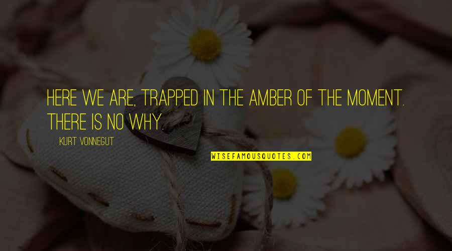 Ask Tesadufleri Sever Quotes By Kurt Vonnegut: Here we are, trapped in the amber of