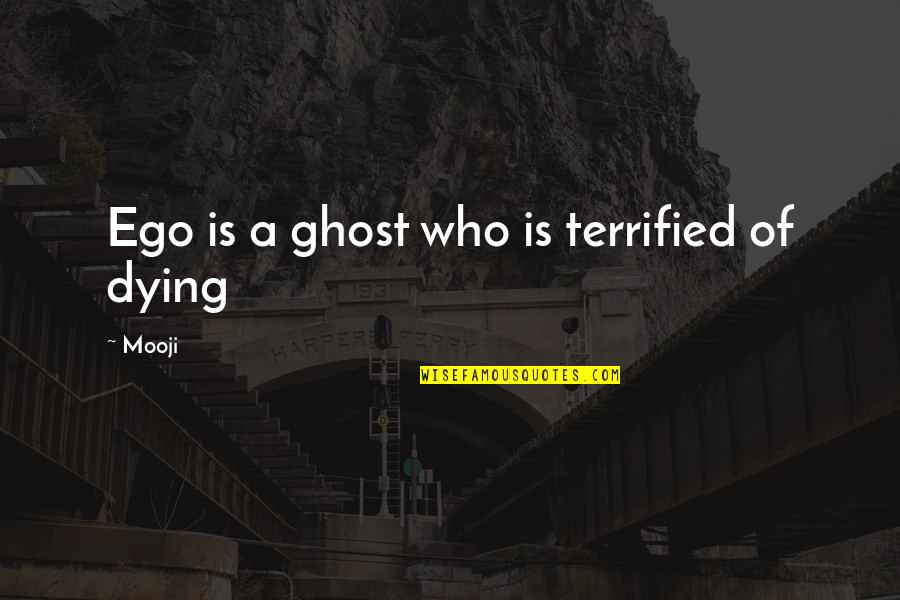 Askama's Quotes By Mooji: Ego is a ghost who is terrified of