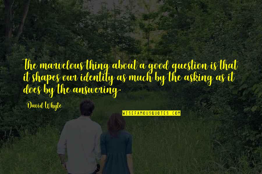 Asking A Question Quotes By David Whyte: The marvelous thing about a good question is