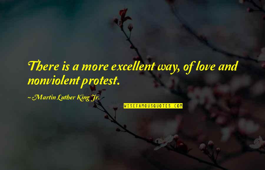 Aslambek Idigov Quotes By Martin Luther King Jr.: There is a more excellent way, of love