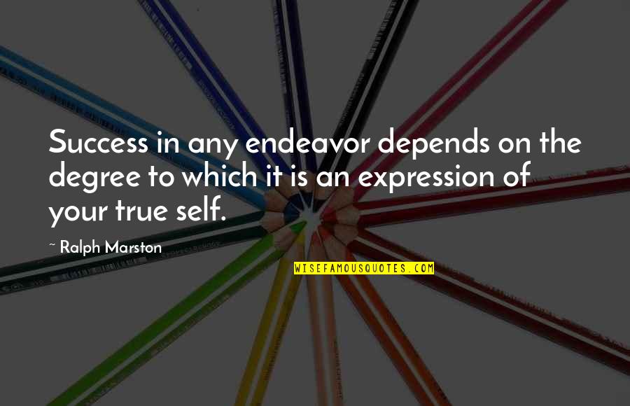 Aslambek Idigov Quotes By Ralph Marston: Success in any endeavor depends on the degree