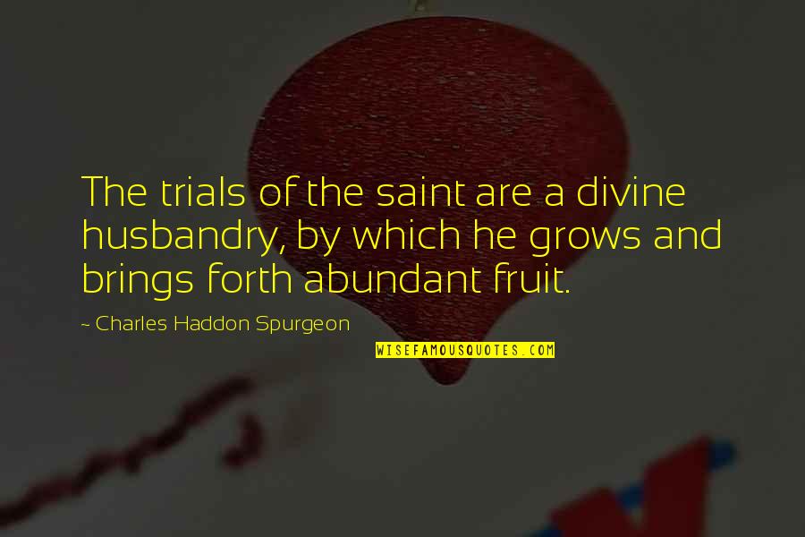 Aslep Quotes By Charles Haddon Spurgeon: The trials of the saint are a divine