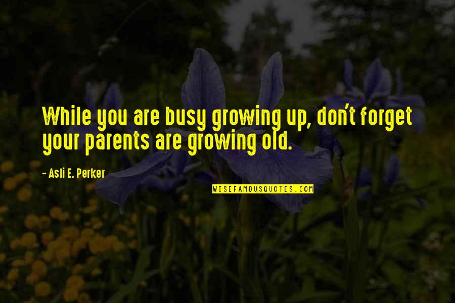 Asli Quotes By Asli E. Perker: While you are busy growing up, don't forget