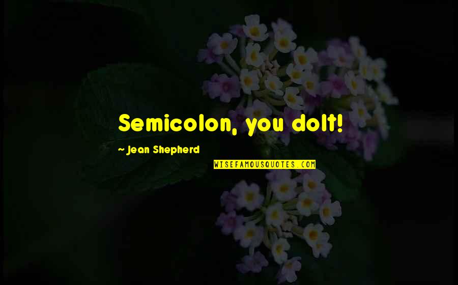 Aslows Hierarchy Quotes By Jean Shepherd: Semicolon, you dolt!