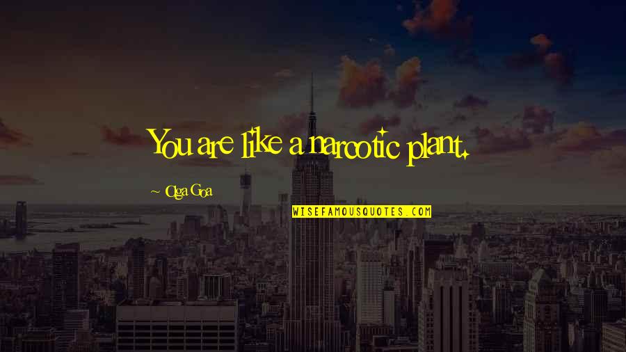Asmeret Asghedom Quotes By Olga Goa: You are like a narcotic plant. Asmeret Asghedom Quotes By Olga Goa: You are like a narcotic plant.