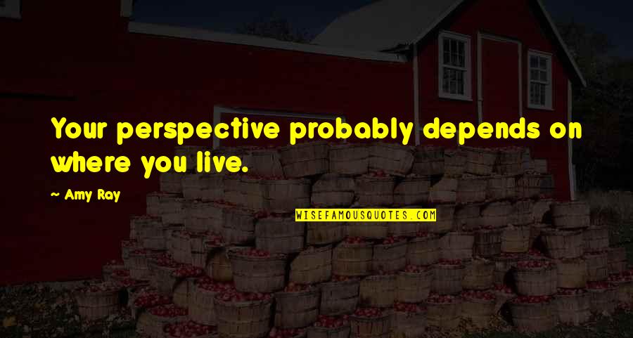 Asociate Quotes By Amy Ray: Your perspective probably depends on where you live.