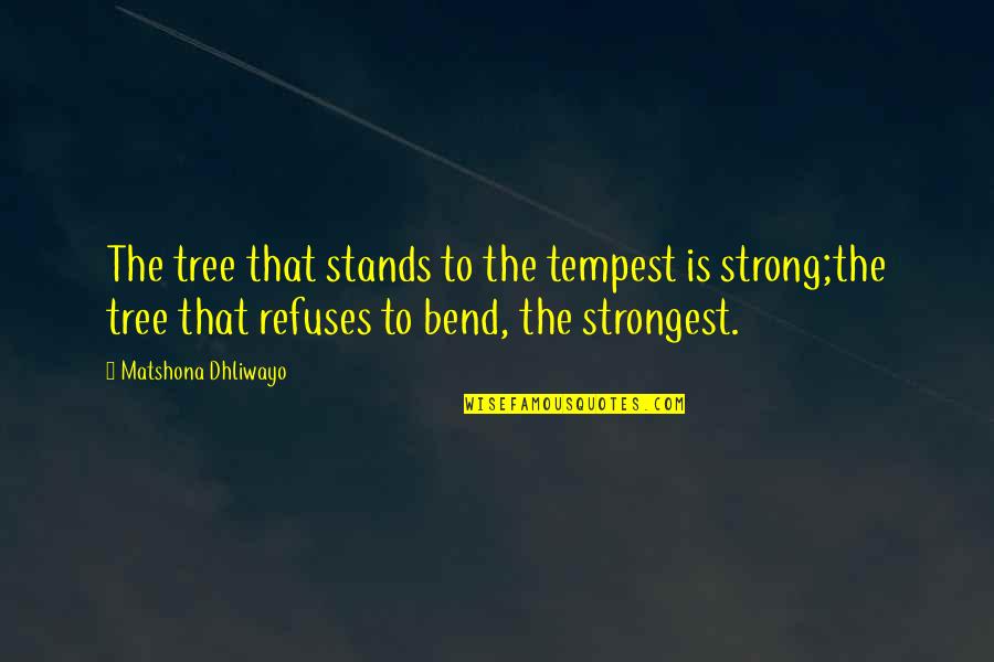 Asool Quotes By Matshona Dhliwayo: The tree that stands to the tempest is