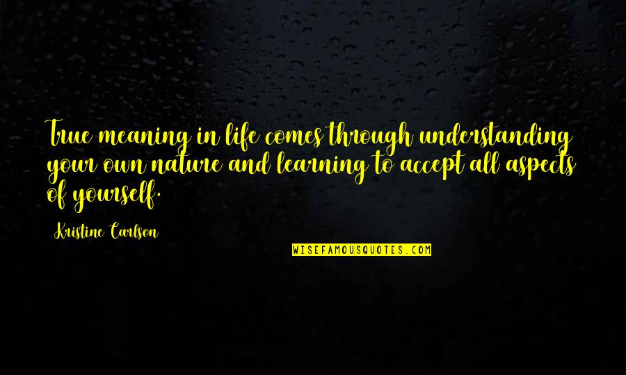 Aspects Of Life Quotes By Kristine Carlson: True meaning in life comes through understanding your Aspects Of Life Quotes By Kristine Carlson: True meaning in life comes through understanding your