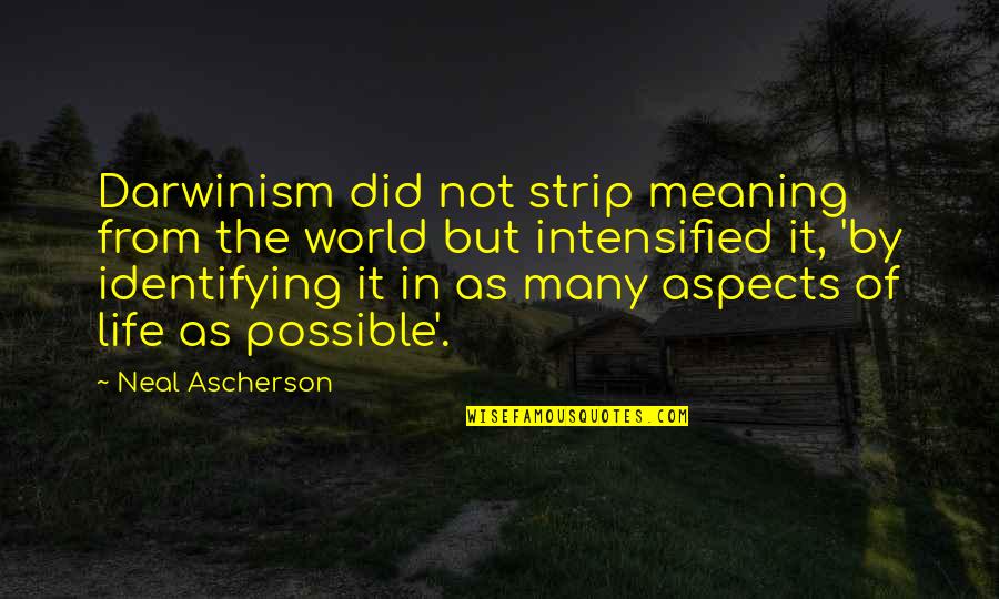 Aspects Of Life Quotes By Neal Ascherson: Darwinism did not strip meaning from the world Aspects Of Life Quotes By Neal Ascherson: Darwinism did not strip meaning from the world