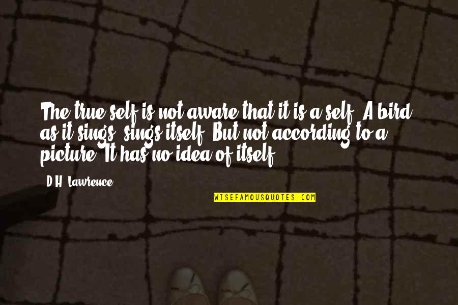 Aspern Papers Quotes By D.H. Lawrence: The true self is not aware that it