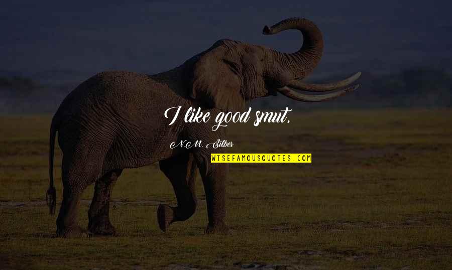 Aspettando Godot Quotes By N.M. Silber: I like good smut,