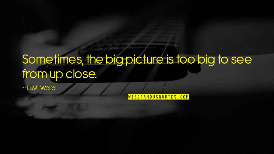 Aspettativa Dal Lavoro Quotes By H.M. Ward: Sometimes, the big picture is too big to