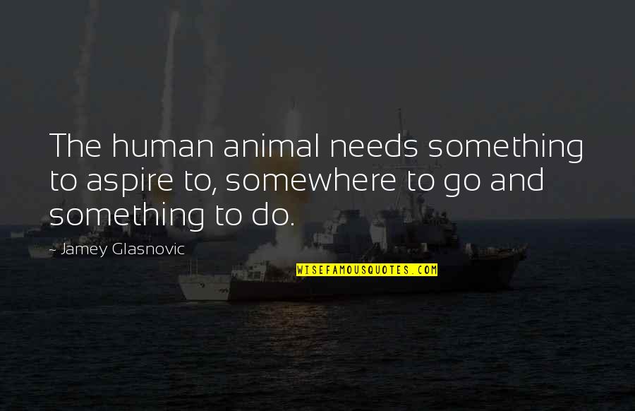Aspirations And Goals Quotes By Jamey Glasnovic: The human animal needs something to aspire to, Aspirations And Goals Quotes By Jamey Glasnovic: The human animal needs something to aspire to,
