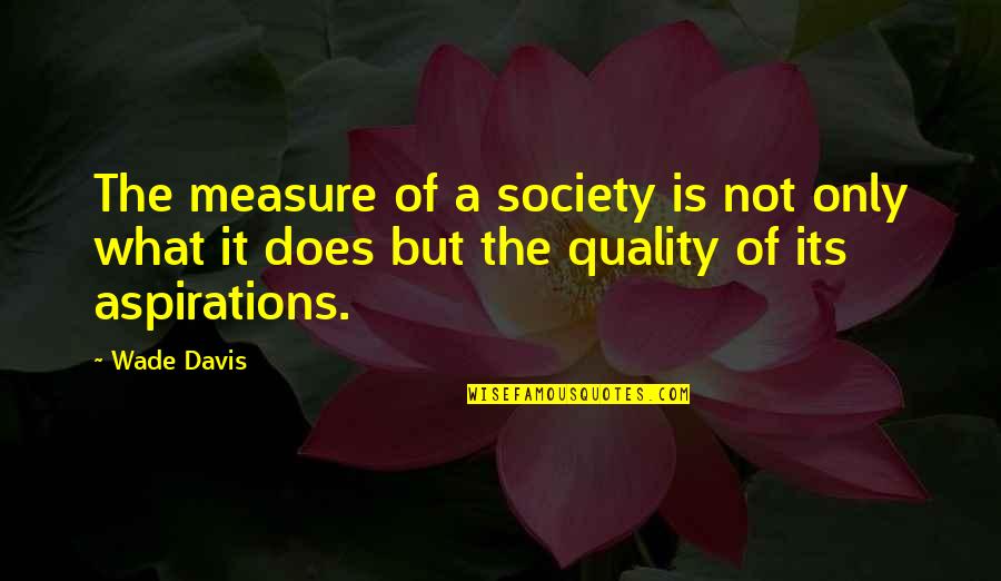 Aspirations And Goals Quotes By Wade Davis: The measure of a society is not only
