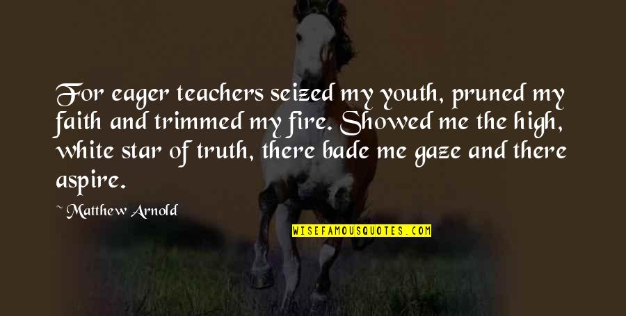 Aspire High Quotes By Matthew Arnold: For eager teachers seized my youth, pruned my