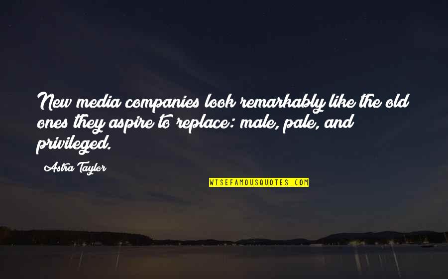 Aspire Quotes By Astra Taylor: New media companies look remarkably like the old