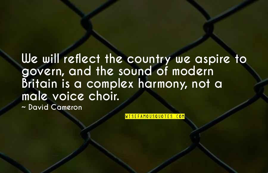 Aspire Quotes By David Cameron: We will reflect the country we aspire to