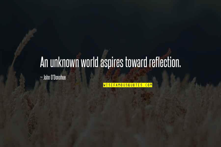 Aspires Quotes By John O'Donohue: An unknown world aspires toward reflection.