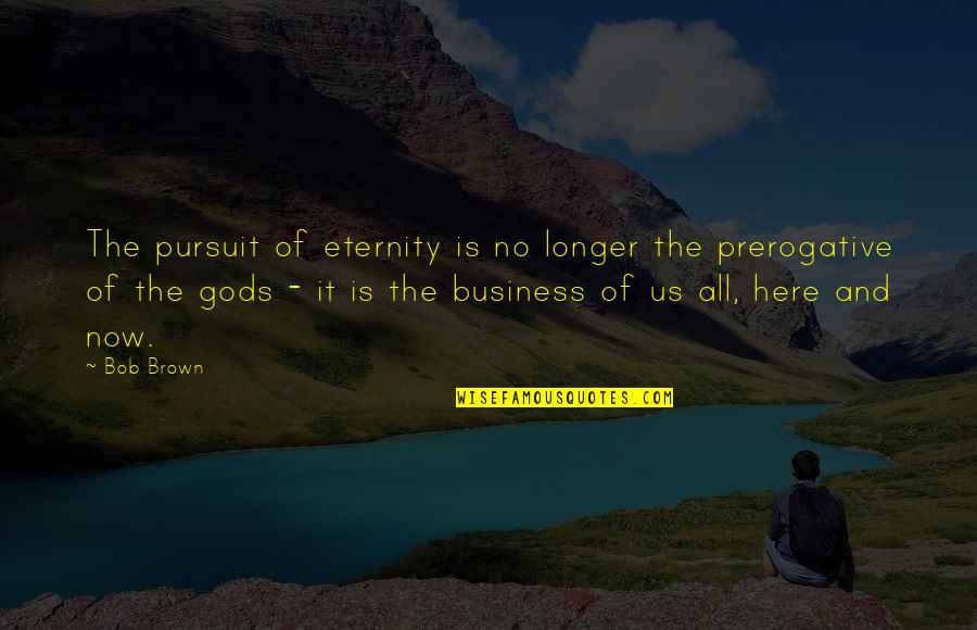 Aspirinas Vaikams Quotes By Bob Brown: The pursuit of eternity is no longer the