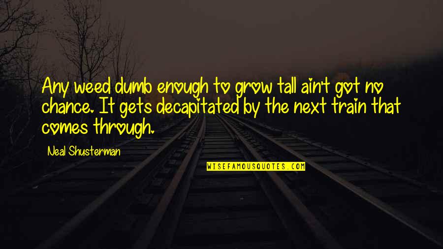 Aspirings Quotes By Neal Shusterman: Any weed dumb enough to grow tall ain't