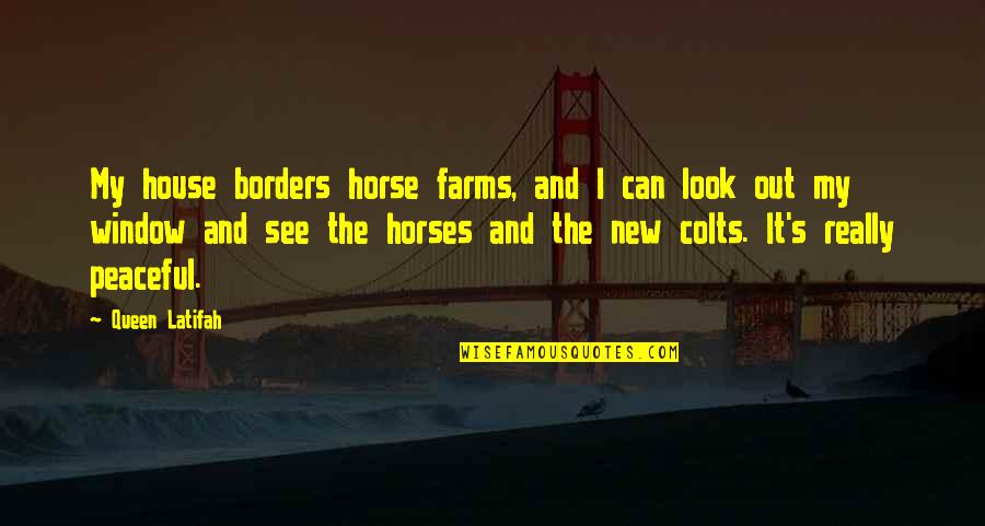 Assalto Em Quotes By Queen Latifah: My house borders horse farms, and I can