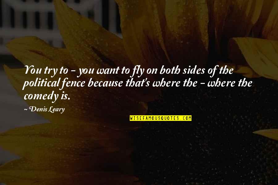 Assassin Romance Quotes By Denis Leary: You try to - you want to fly Assassin Romance Quotes By Denis Leary: You try to - you want to fly