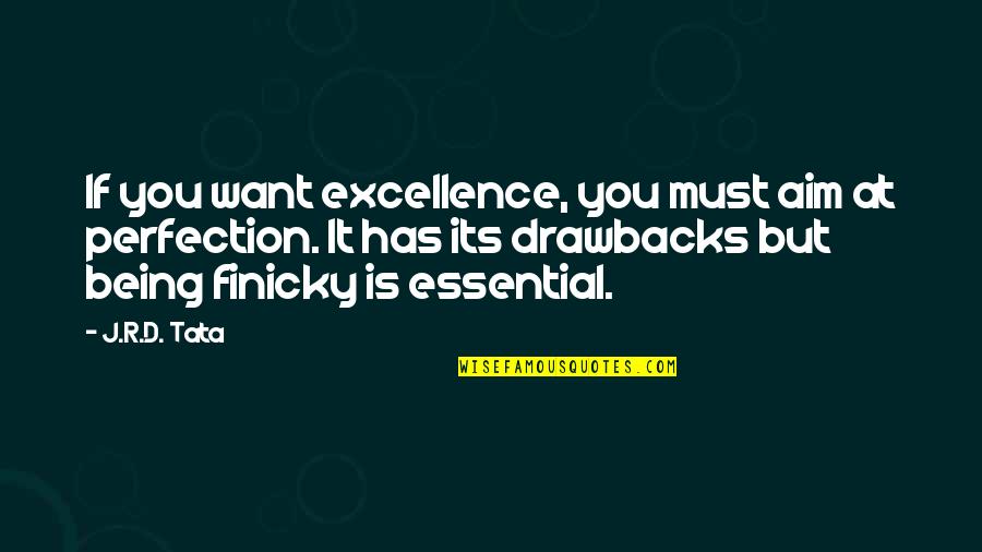 Assassins Creed Blackbeard Quotes By J.R.D. Tata: If you want excellence, you must aim at