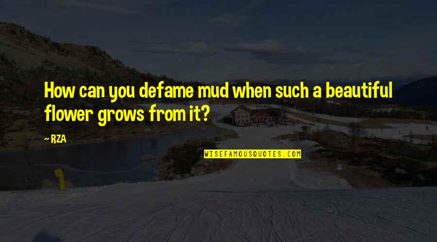 Assassins Creed Blackbeard Quotes By RZA: How can you defame mud when such a