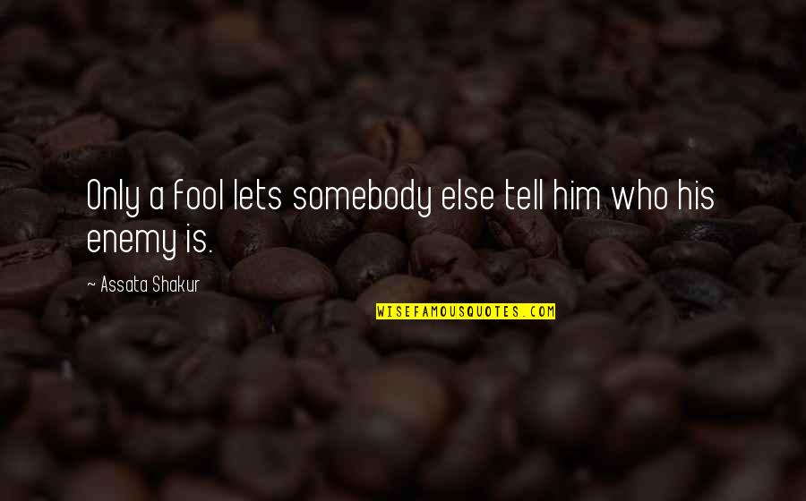 Assata Quotes By Assata Shakur: Only a fool lets somebody else tell him Assata Quotes By Assata Shakur: Only a fool lets somebody else tell him