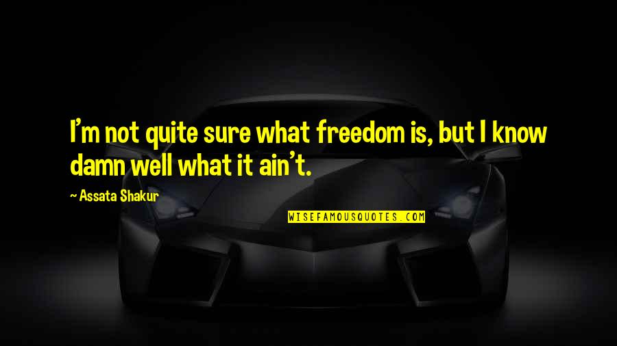 Assata Quotes By Assata Shakur: I'm not quite sure what freedom is, but